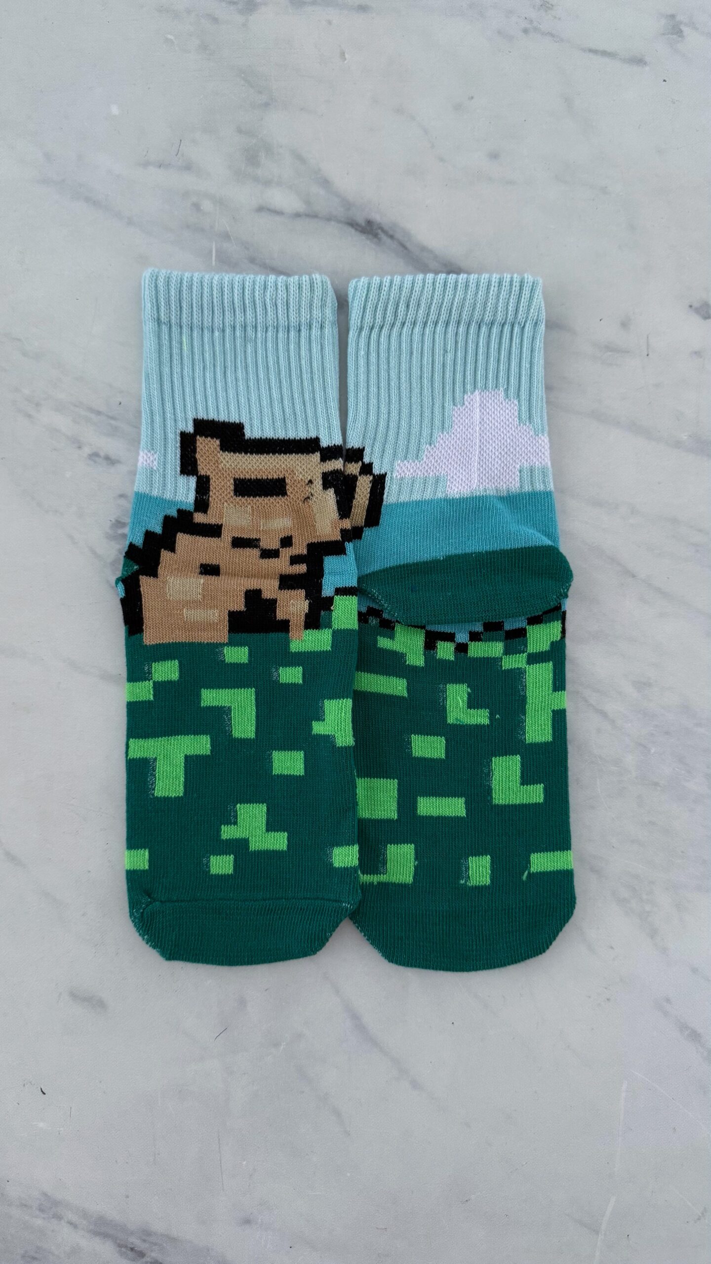 Capibara Minecraft Niño
