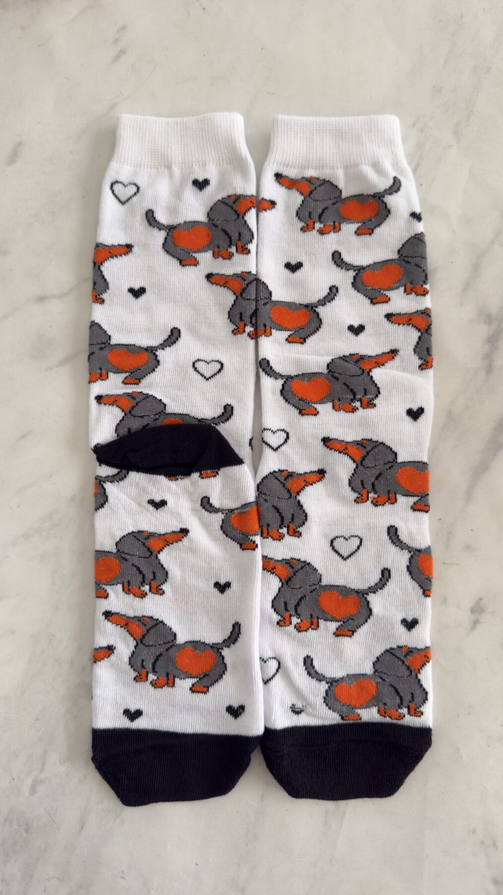 Perro Salchicha Animales